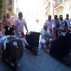 ganaderos (5)